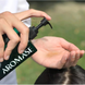 Себорегулювальний шампунь для жирної шкіри голови Aromase Anti-Dandruff Essential Shampoo, 400 мл 10948 фото 3